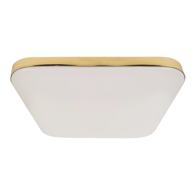 LED plafonjera NEMO GOLD 17W IP44
