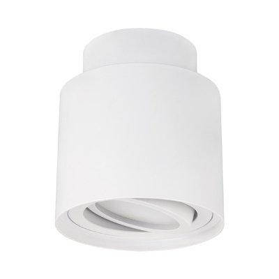 HARIET C GU10 stropna svjetiljka bijela