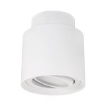 HARIET C GU10 stropna svjetiljka bijela - slika 1