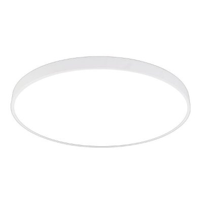 LED stropna svjetiljka okrugla bijela 54W